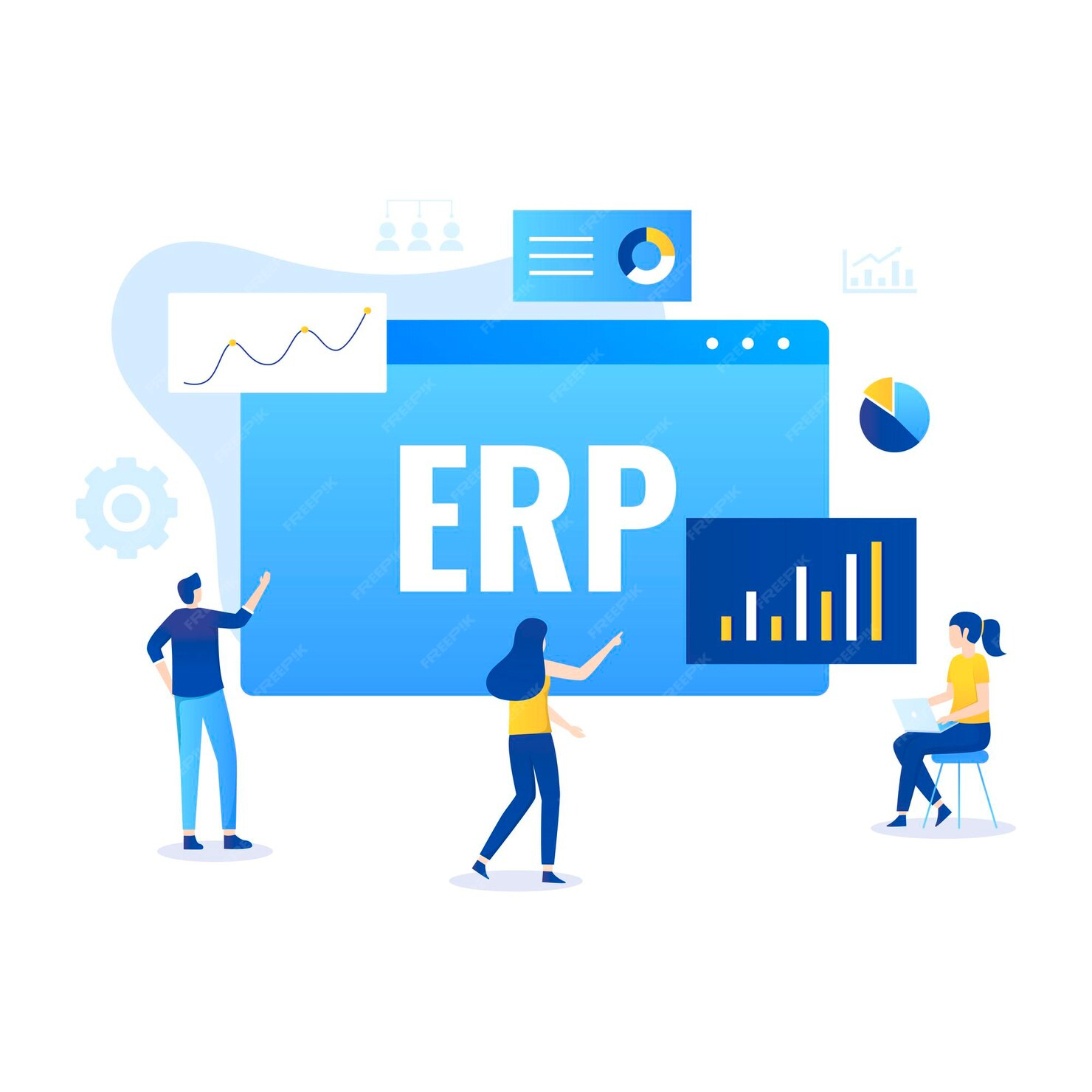 ERP System